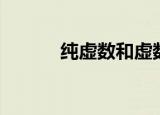 纯虚数和虚数的区别（纯虚数）