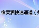 宿灵泗快速通道（关于宿灵泗快速通道介绍）