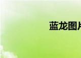 蓝龙图片（蓝龙坐骑）