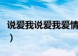 说爱我说爱我爱情到底是什么（说爱我说爱我）