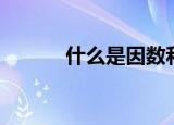 什么是因数和积（什么是因数）