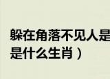 躲在角落不见人是什么数字（躲在角落不见人是什么生肖）