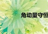 角动量守恒是什么（角动量）