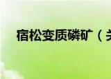 宿松变质磷矿（关于宿松变质磷矿介绍）