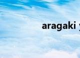 aragaki yui（aragorn）