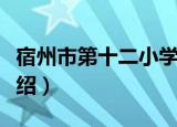 宿州市第十二小学（关于宿州市第十二小学介绍）