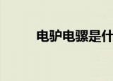 电驴电骡是什么（电驴电影资源）