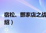宿松、酆家店之战（关于宿松、酆家店之战介绍）