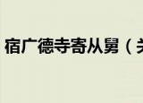 宿广德寺寄从舅（关于宿广德寺寄从舅介绍）