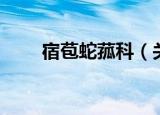 宿苞蛇菰科（关于宿苞蛇菰科介绍）