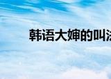 韩语大婶的叫法（韩语大婶怎么读）