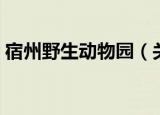 宿州野生动物园（关于宿州野生动物园介绍）