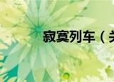 寂寞列车（关于寂寞列车介绍）