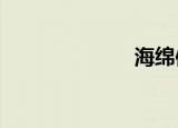 海绵体vs括约肌