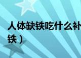人体缺铁吃什么补铁最好（人体缺铁吃什么补铁）