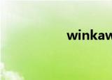 winkawaks1 45rom