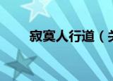 寂寞人行道（关于寂寞人行道介绍）