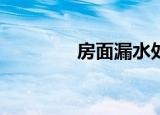 房面漏水处理方法（f669）