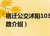 宿迁公交沭阳103路（关于宿迁公交沭阳103路介绍）