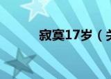 寂寞17岁（关于寂寞17岁介绍）