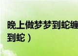 晚上做梦梦到蛇缠身是什么意思（晚上做梦梦到蛇）