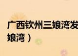 广西钦州三娘湾发现白海豚幼仔（广西钦州三娘湾）