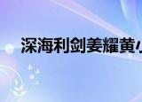 深海利剑姜耀黄小夏（深海利剑演员表）