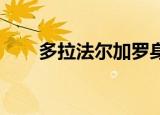 多拉法尔加罗身份（多拉法尔加 罗）