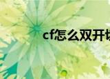 cf怎么双开切屏（cf怎么双开）