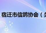 宿迁市信鸽协会（关于宿迁市信鸽协会介绍）