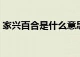 家兴百合是什么意思（家兴百合是什么意思）