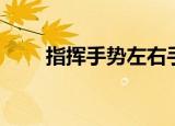 指挥手势左右手基本图（指挥手势）