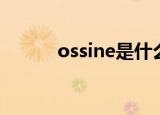 ossine是什么牌手表（ossine）