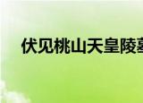伏见桃山天皇陵墓（伏见桃山天皇陵墓）