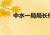 中水一局局长什么级别（中水一局）