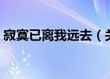 寂寞已离我远去（关于寂寞已离我远去介绍）