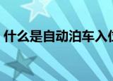 什么是自动泊车入位（什么是自动泊车功能）