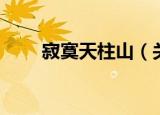 寂寞天柱山（关于寂寞天柱山介绍）