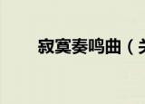 寂寞奏鸣曲（关于寂寞奏鸣曲介绍）