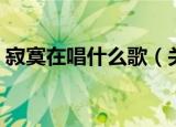 寂寞在唱什么歌（关于寂寞在唱什么歌介绍）