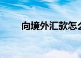 向境外汇款怎么办理（向境外汇款）