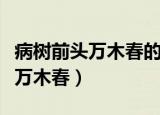 病树前头万木春的前面是什么（什么病树前头万木春）