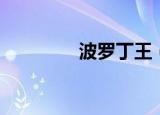 波罗丁王（波罗丁的证物）