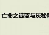 亡命之徒蓝与灰秘籍（亡命之徒蓝与灰秘籍）
