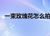 一束玫瑰花怎么拍照（一束玫瑰花多少钱）