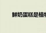 鲜奶蛋糕是植物奶油吗（鲜奶蛋糕）