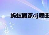 蚂蚁搬家dj舞曲完整版（蚂蚁搬家dj）