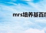 mrs培养基百度百科（mrs培养基）