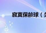 寂寞保龄球（关于寂寞保龄球介绍）