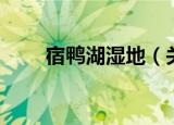 宿鸭湖湿地（关于宿鸭湖湿地介绍）